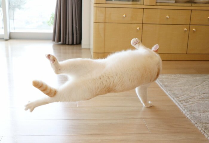 ブレイクダンスのような一枚