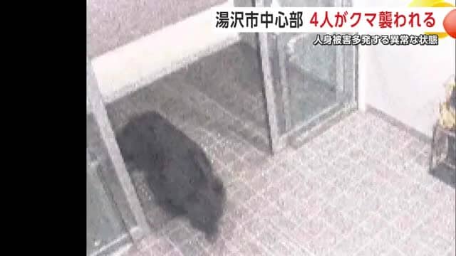 午前4時過ぎに防犯カメラが捉えたクマの姿(提供:湯沢雄勝広域市町村圏組合消防本部)