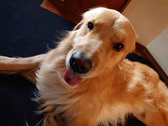 REYくん