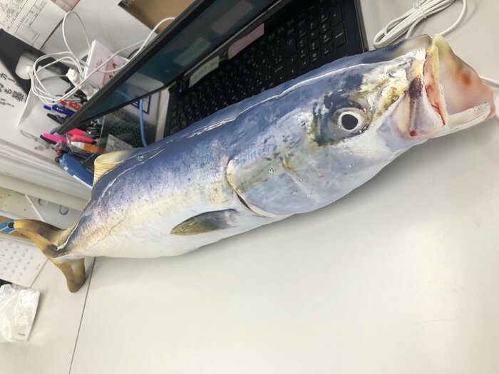 完成した「ぎょたクッション」。リアル!