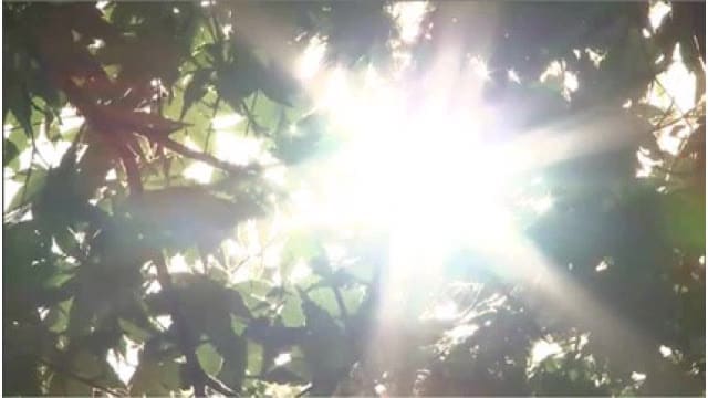 7日は全国75地点で真夏日に