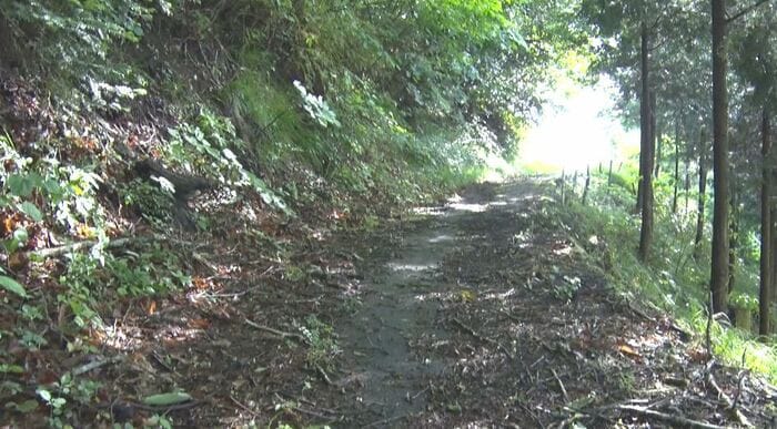 散歩中の男性が茂みから飛び出してきたクマに襲われた農道(6月3日・箕輪町)