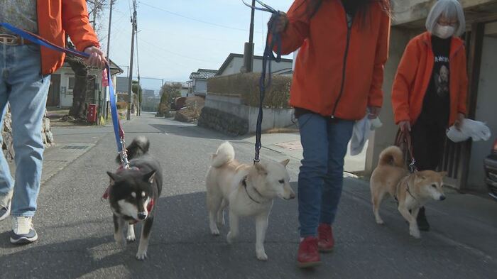 左から「かぐら」「ひかり」「まつり」