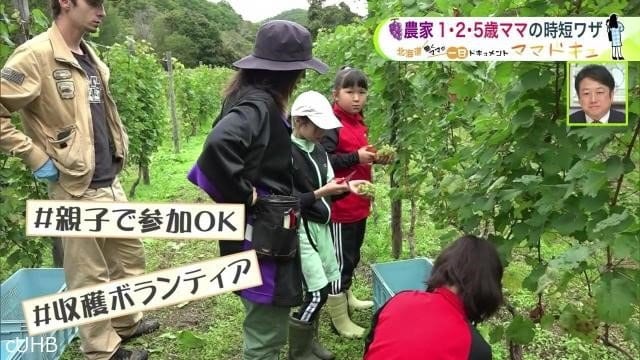 SNSでボランティア募集も