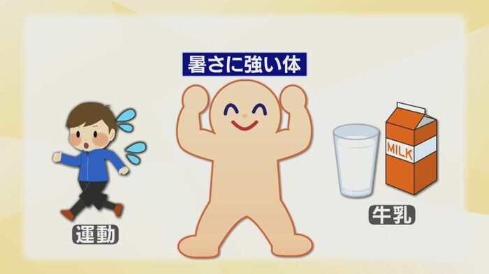 暑さに強いからだを作るには「運動」+「牛乳」