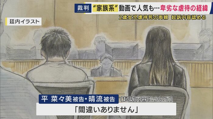 初公判で起訴内容を認める