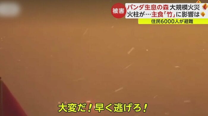 走る車のフロントガラスに火の粉が降り注ぐ
