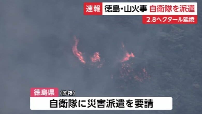 【速報】徳島・板野町　藍染山の山林火災、延焼続く　県が自衛隊に災害派遣要請　鎮圧メド未だ立たず｜FNNプライムオンライン