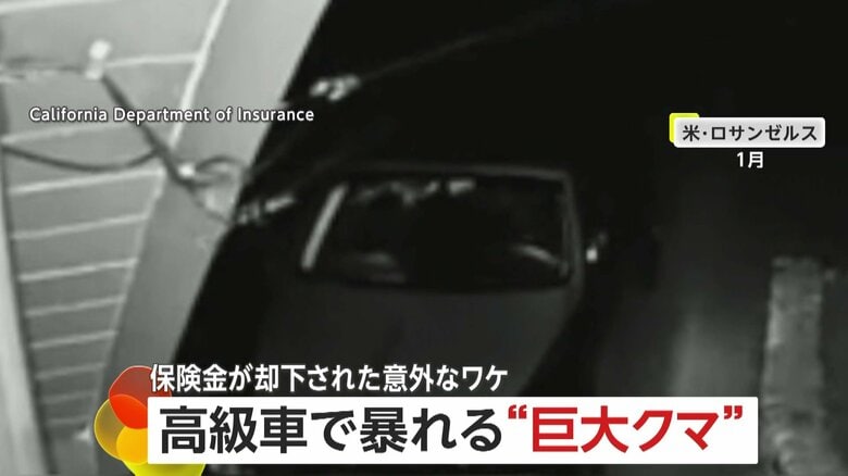 器用にドア開け…ロールスロイス・ベンツなど高級車ばかり狙い車内で暴れる“巨大熊”　爪痕6本!?…実は「着ぐるみ」自作自演　被害額2000万円以上…保険金詐欺容疑で4人逮捕　アメリカ｜FNNプライムオンライン