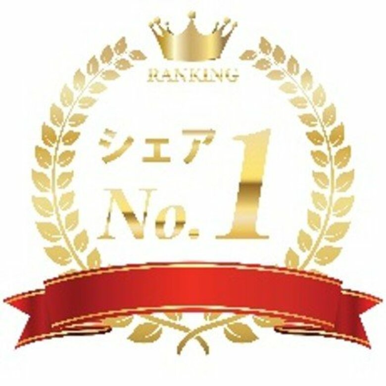 「国産クラウドファイルサーバー（SaaS）」に関する市場調査《No.1検証調査》　結果