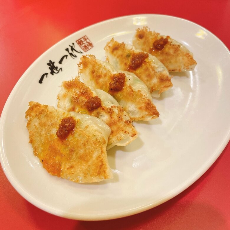 注文後に包むパリパリ極薄皮餃子が主役…40種類超の絶品餃子が集結する進化し続ける栄の人気酒場｜FNNプライムオンライン