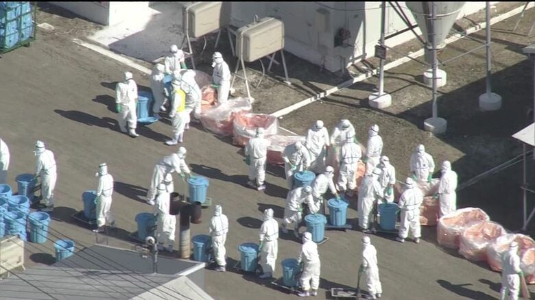 今季全国初 「鳥インフルエンザ」北海道・厚真町の養鶏場で確認 約1万9000羽を殺処分 「エッグショック」再来の心配に鈴木知事は「根拠のないうわさなどで混乱が生じないよう情報提供に努める」｜FNNプライムオンライン