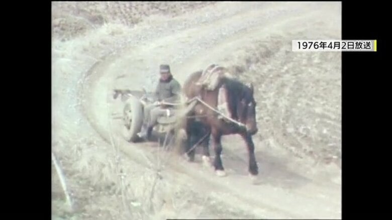 木材運搬にウマが活躍 福島・古殿町に残る「馬搬」 消えかけた文化を後世に伝える男性 新たな相棒「トヨシゲ」を迎え次なる一歩へ |FNNプライムオンライン