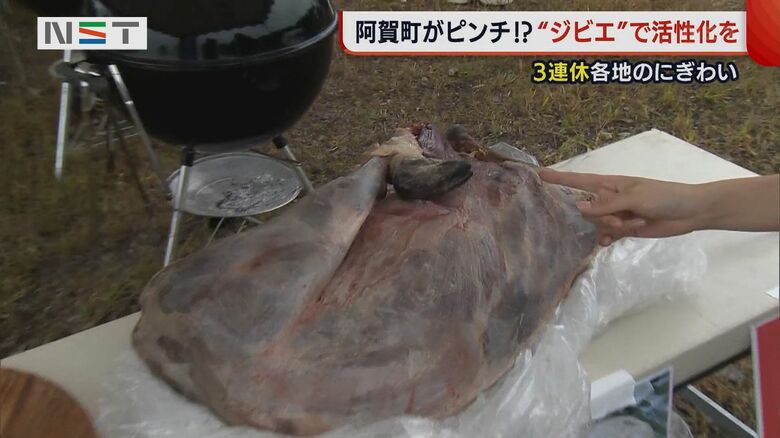 イノシシ