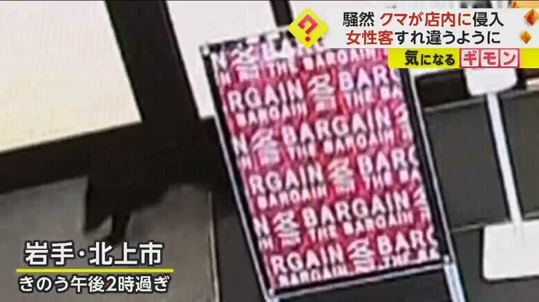1月9日、出入り口から子グマが侵入。　提供：（協）江釣子ショッピングセンター パル