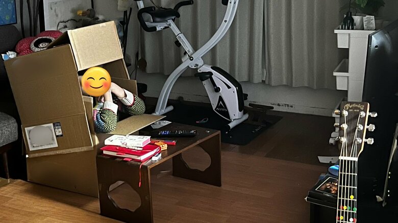 段ボールなどで作った「一人映画館」を満喫する様子