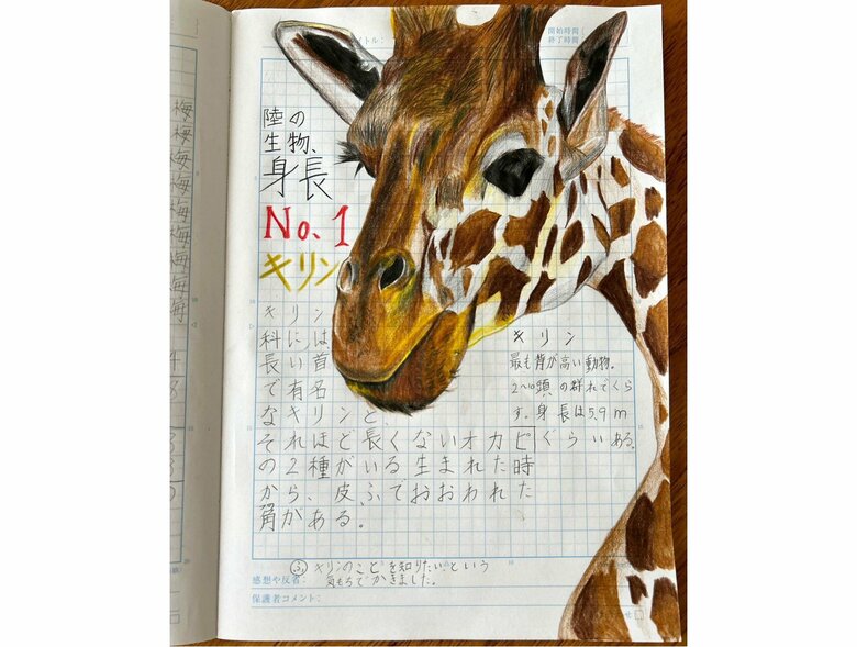 7時間かけて描いたキリン