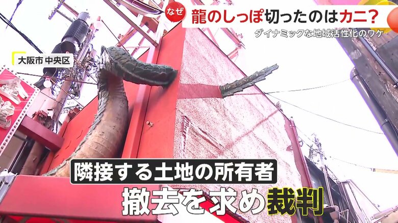 シッポ部分などがはみ出しているとして、撤去を求め裁判に起こしていた隣接する土地の所有者