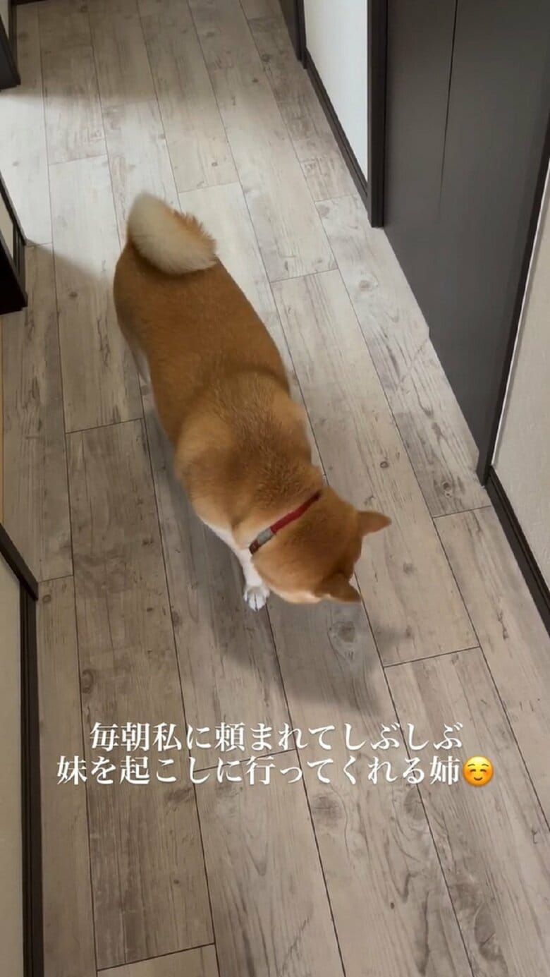 「仕方ない…」