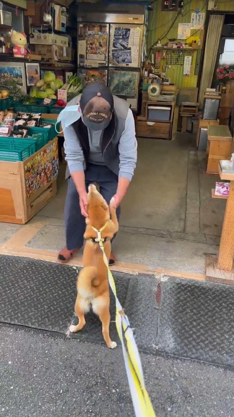 マメちゃん念願のなでなで