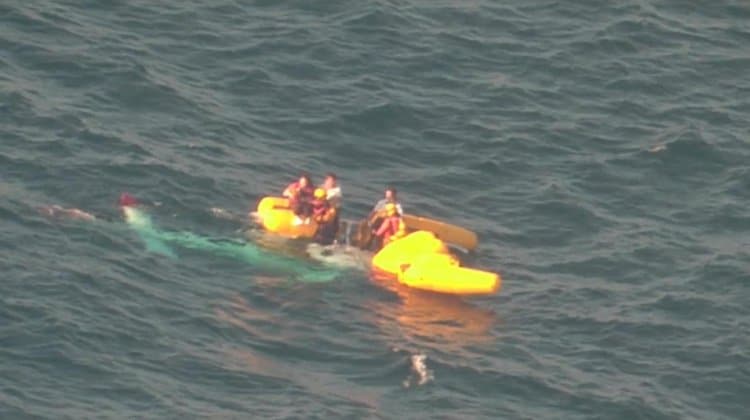 第七管区海上保安本部　提供