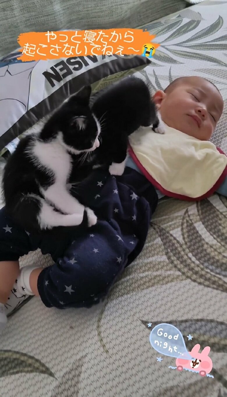 凪くんの元へ移動するリヴァイくん