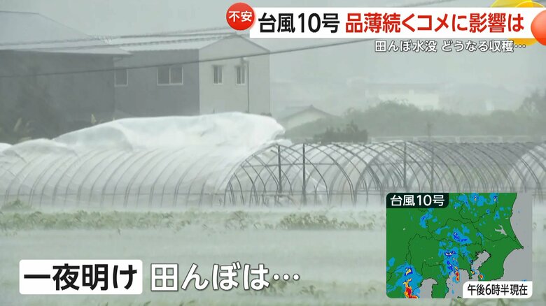 台風10号で危機が迫っている品薄が続く米