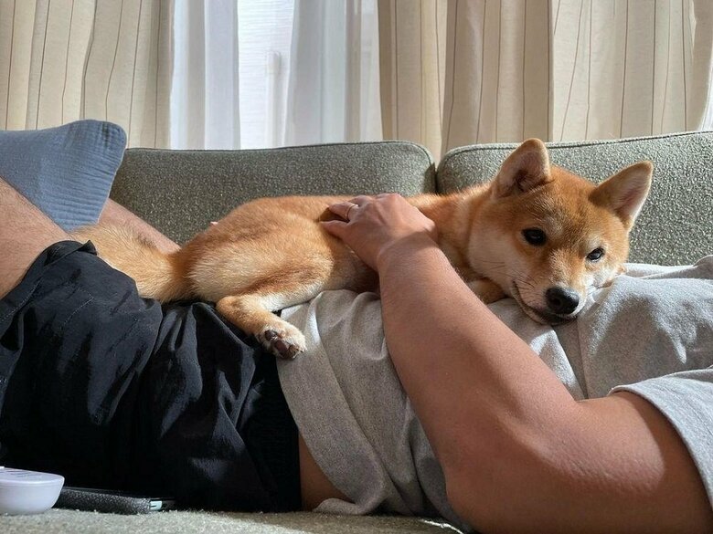 旦那さんにべったり　甘えん坊なすずちゃん