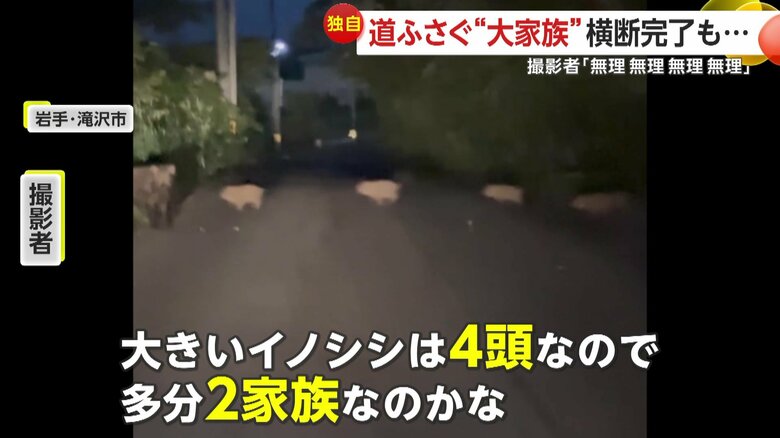 「大きいイノシシは4頭なので多分2家族なのかな」と振り返ってい撮影者