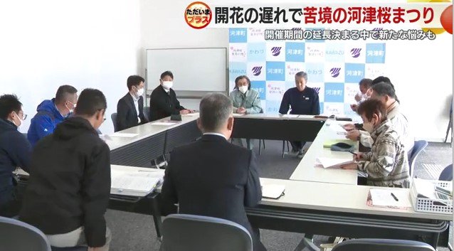 河津桜まつり運営委員会（2月10日）