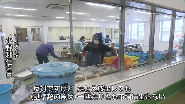 漁業関係者「これまで同様、安全が確認できない魚は一匹たりとも市場に出さない」