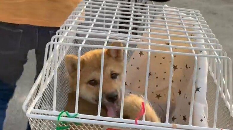 移動は自転車ですることが多い