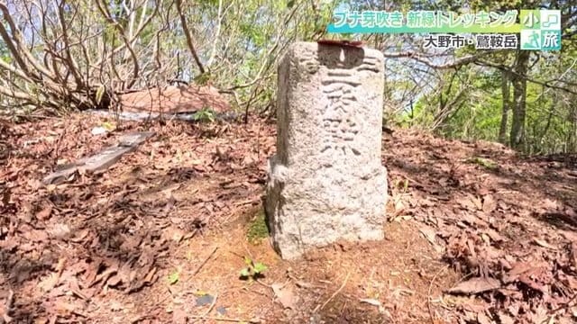 木々に囲まれた山頂