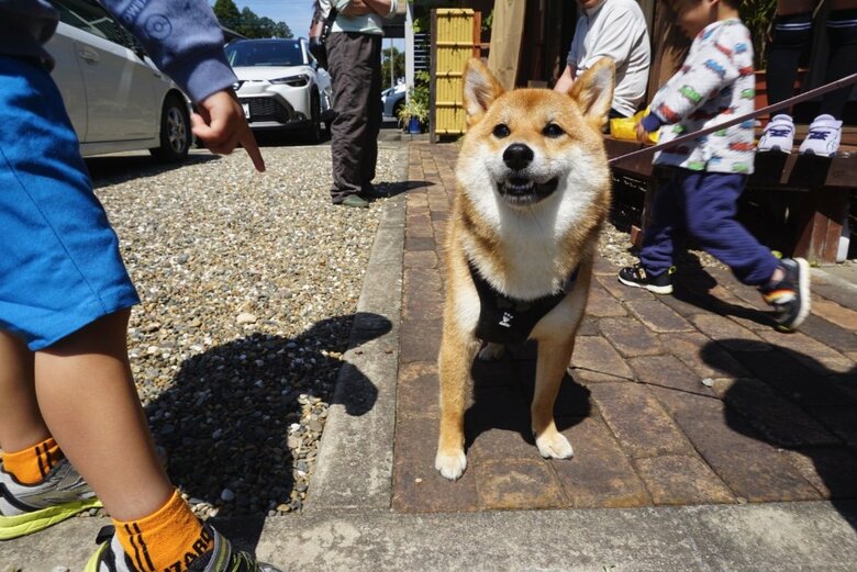 提供：はちさん