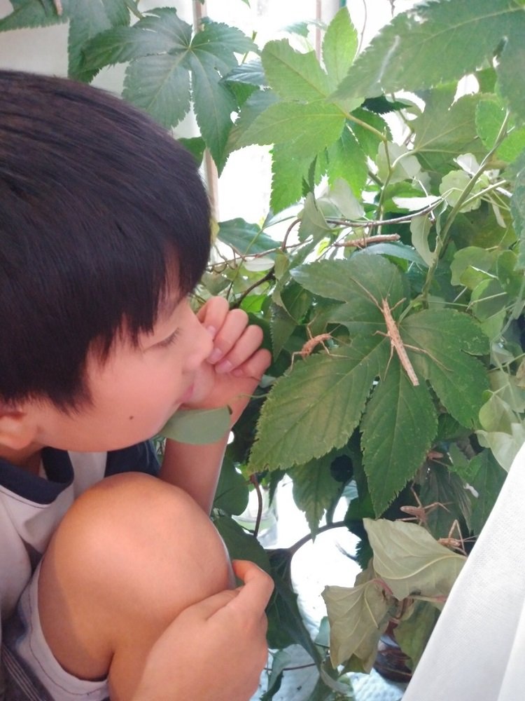 飼育の様子（画像提供：森下泰成）