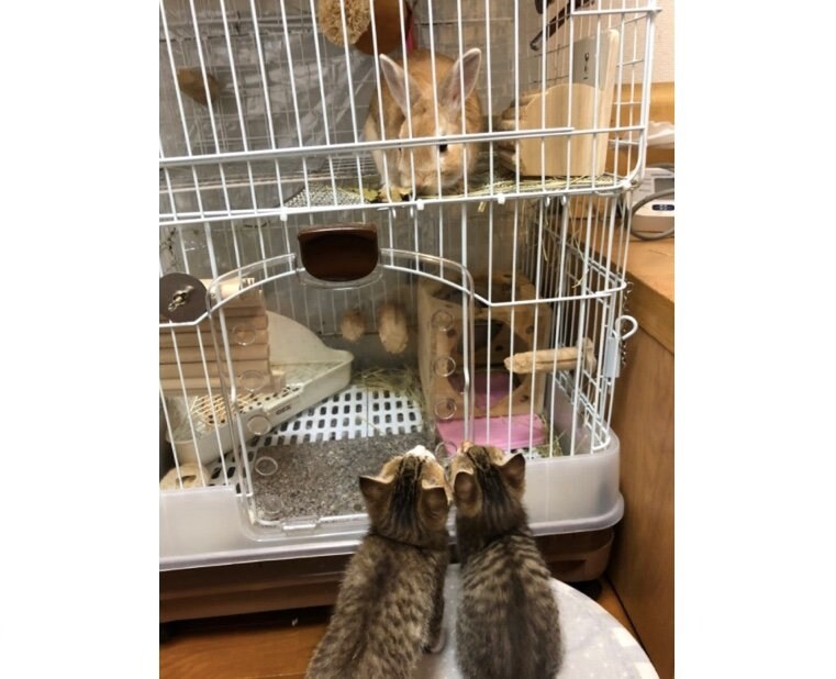 提供：もずく＆こんぶさん