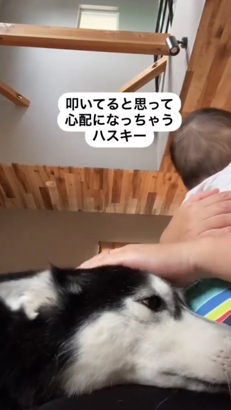 提供：akariさん