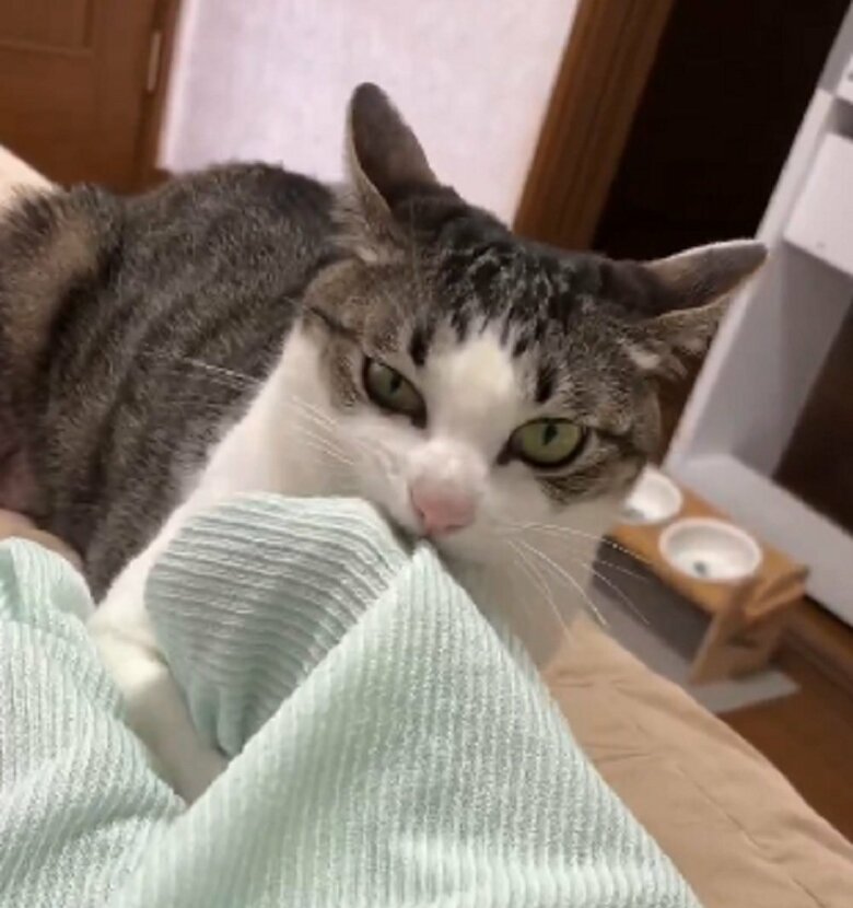 二度寝は許さない　小指を噛んで起こす