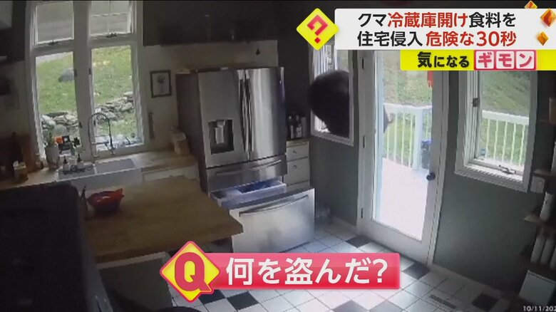 冷蔵庫をあさったあと、窓から外に出るクマ