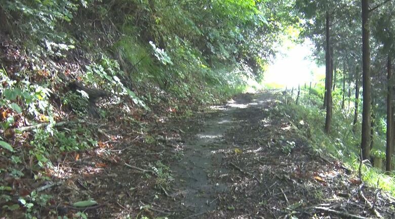 散歩中の男性が茂みから飛び出してきたクマに襲われた農道（6月3日・箕輪町）