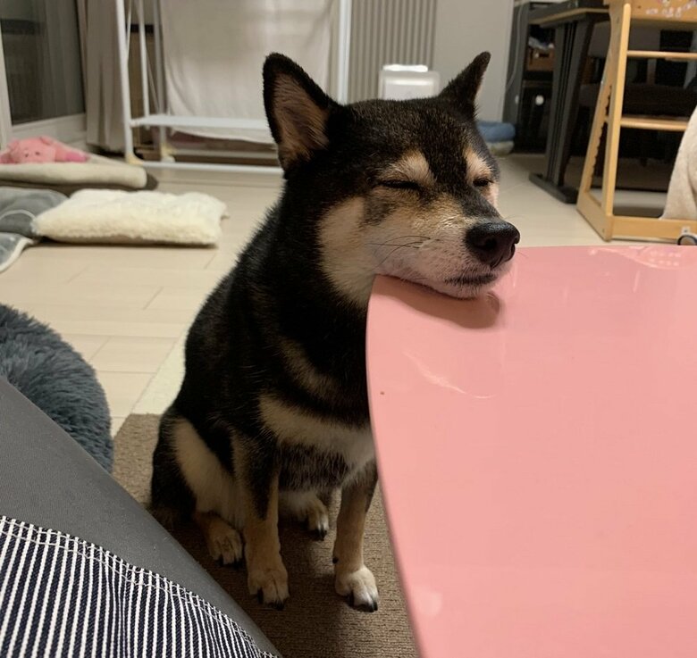 アゴを置いてそのまま…