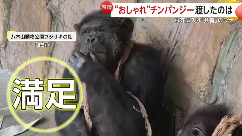 飾りをプレゼントして満足げな表情のヤワラちゃん