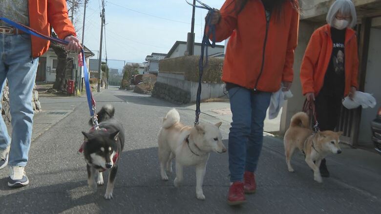 左から「かぐら」「ひかり」「まつり」