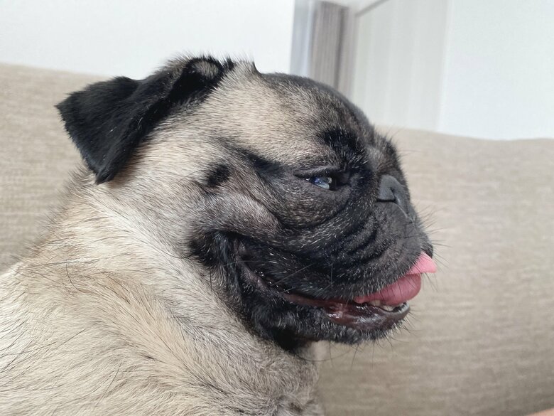 提供：ボンさん