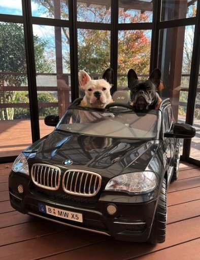 提供：天使の笑顔さん