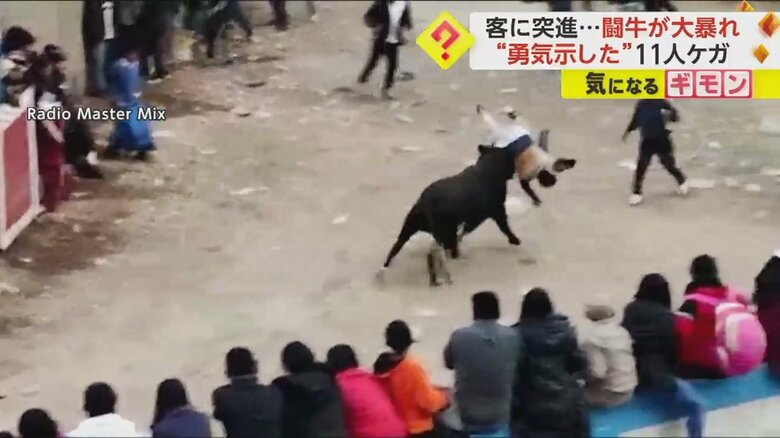 一騎打ちを挑んだ男性が、牛に突進される瞬間⑦