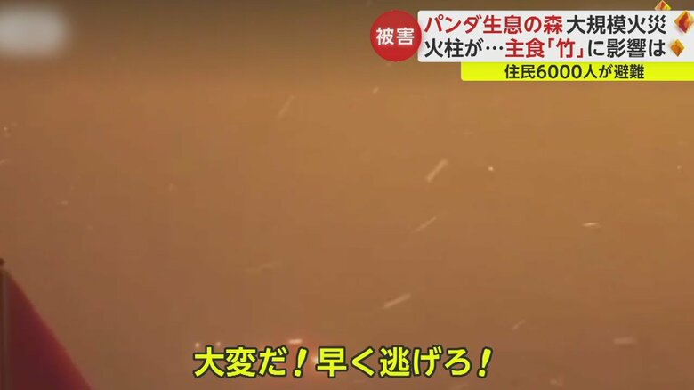 走る車のフロントガラスに火の粉が降り注ぐ