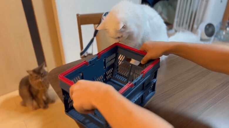 箱を準備