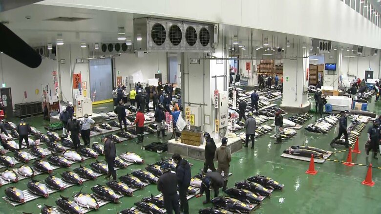 初競り前の場内の様子（午前5時前 豊洲市場）