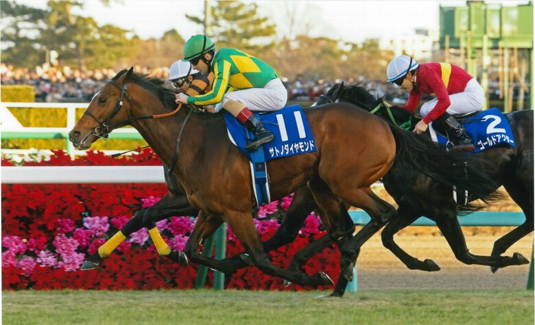2016年（6枠11番）サトノダイヤモンド（C.ルメール）
